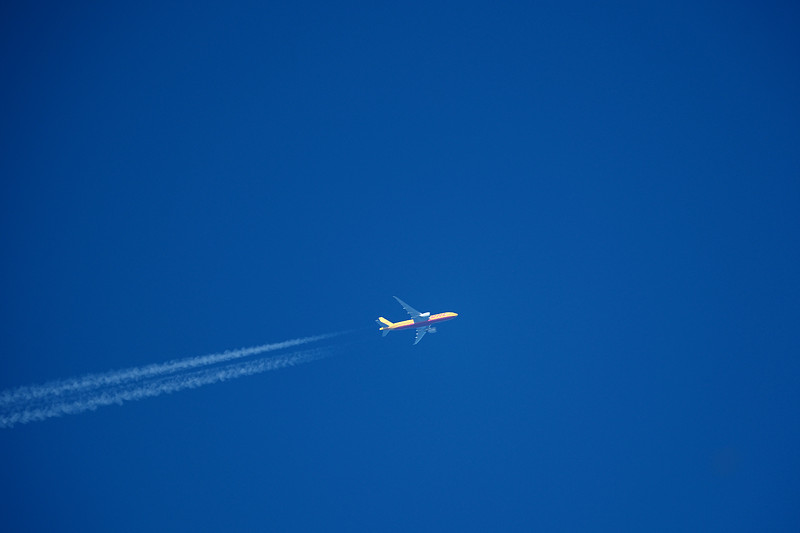 广东广州到法国生鲜冷链空运 广东广州到法国生鲜冷链空运
