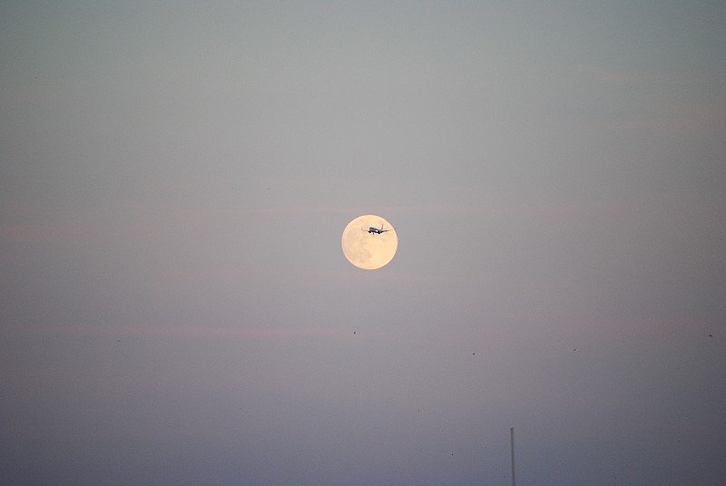 中国青岛手机/平板电脑/笔记本电脑采用拼货空运15天内配送到奥尔巴尼 (Albany)