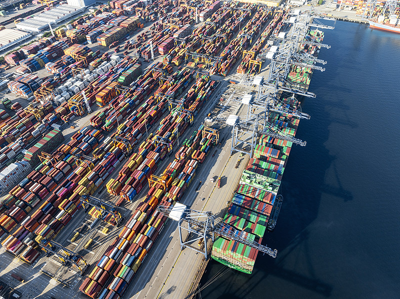 孪叶苏木采用中国舟山FCL海运运到澳洲弗里曼特尔 孪叶苏木采用中国舟山FCL海运运到澳洲弗里曼特尔