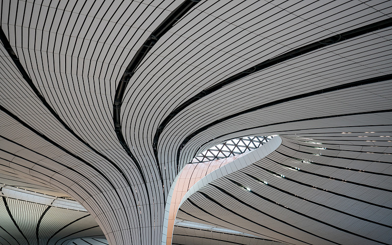 罐头使用中国高雄整箱海运送达澳洲吉朗