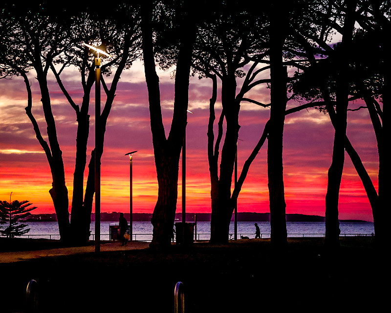 中国昆明至澳大利亚布里斯班(Brisbane)的圣诞装饰品采用标准空运11天内送达
