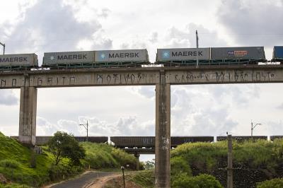 夹心饼干采取中国广州海上运输送达达尔文
