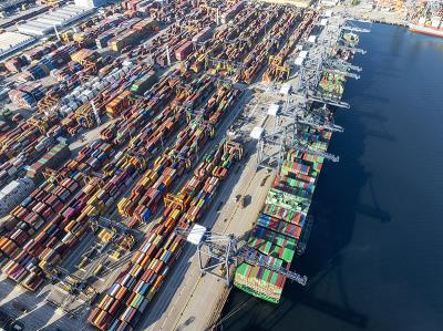 孪叶苏木采用中国舟山FCL海运运到澳洲弗里曼特尔