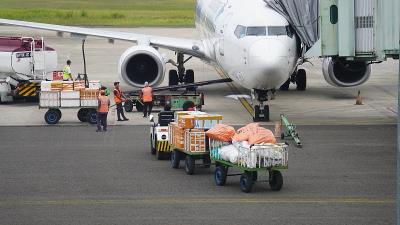 长沙至澳洲怀阿拉的宠物窝采用拼货空运6天内送达