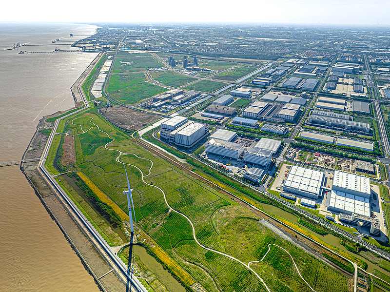 借助数据分析，选准拼多多跨境电商畅销商品