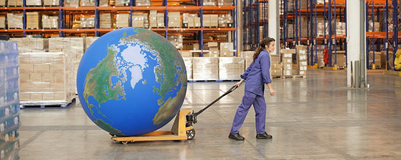 FOB离岸价格发生无单放货怎么办