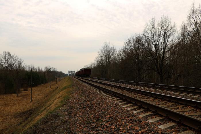 天津市金聚海物流有限公司