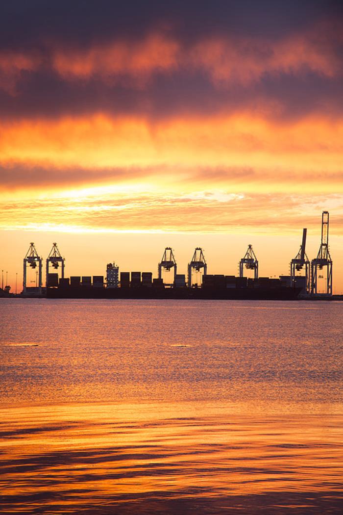 新疆金华远物流有限公司