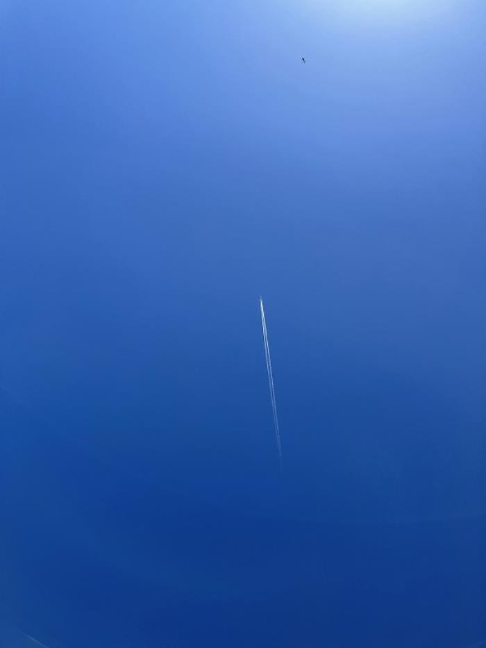 上海鹭波物流有限公司