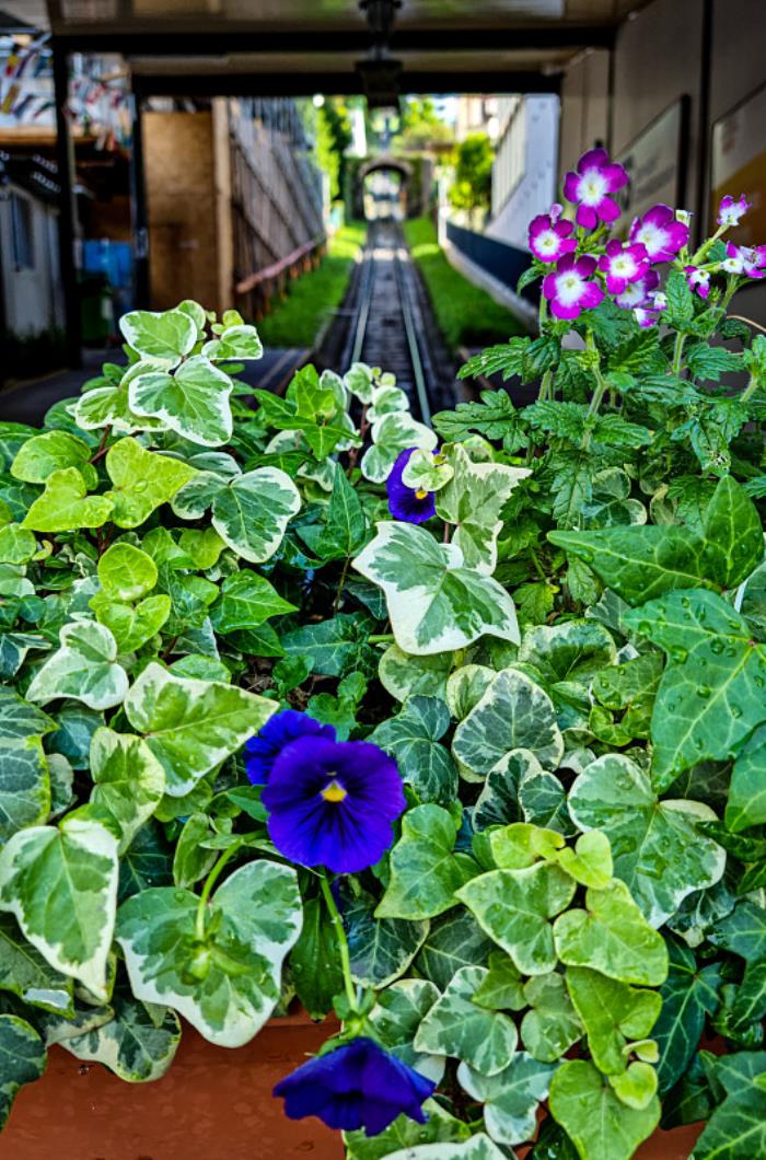 日照市中达物流有限公司