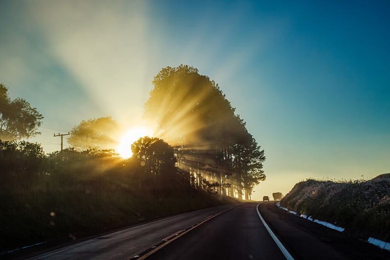 深圳市极狐国际物流有限公司