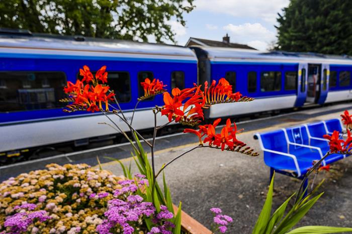 乌海市鑫宇物流有限公司 乌海市鑫宇物流有限公司