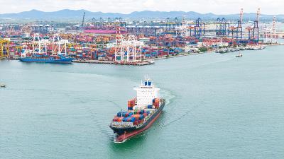 小蓝鲸（深圳）国际物流有限公司