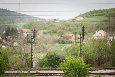 巴州沙舟物流有限公司