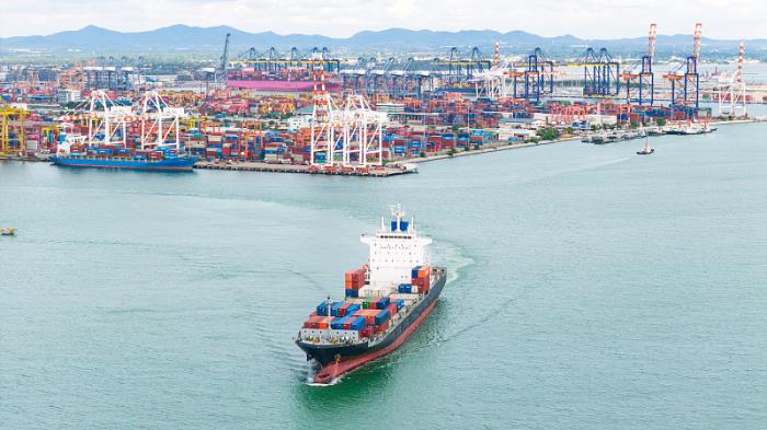 小蓝鲸（深圳）国际物流有限公司