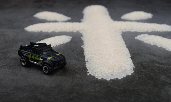 肇庆市中神通物流有限公司