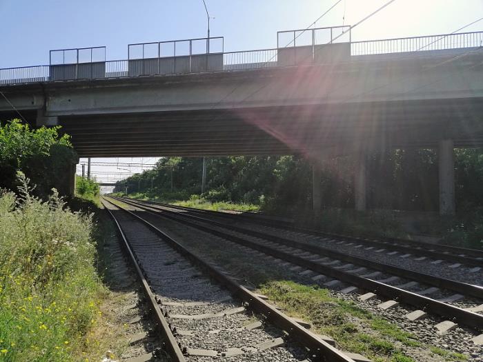 广西养力多物流有限责任公司