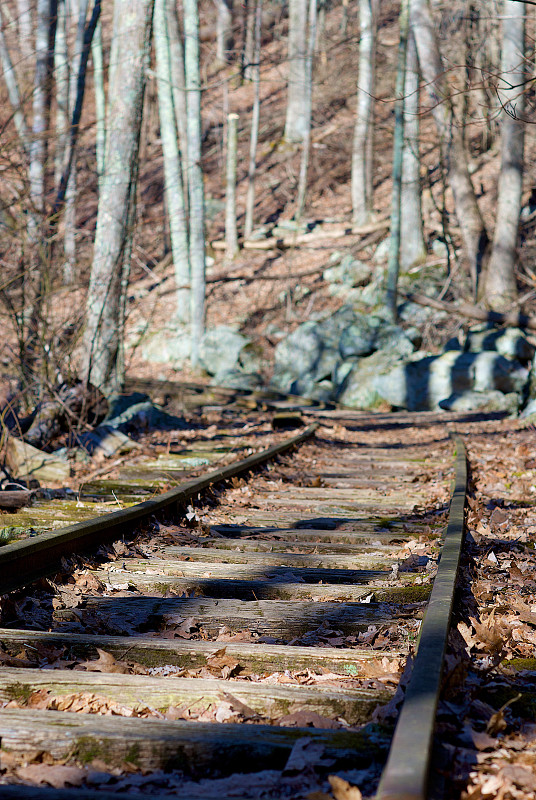 上海诺天国际物流有限公司