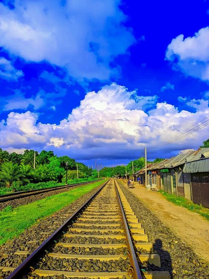 东莞市女神国际物流有限公司