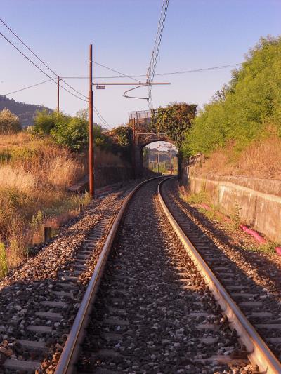 合肥速狼物流有限公司