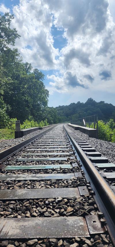 天津市隆晟海国际物流有限公司