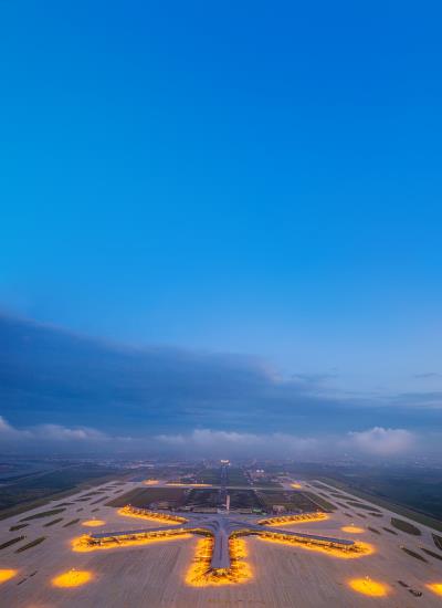 青岛顺康物流有限公司