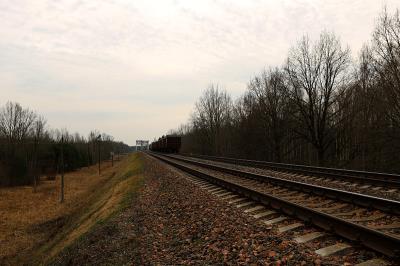 天津市金聚海物流有限公司