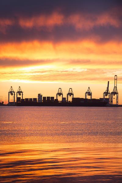 新疆金华远物流有限公司