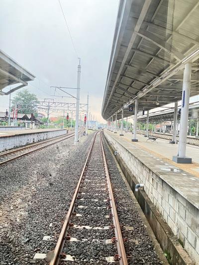 青岛欧盛国际物流有限公司