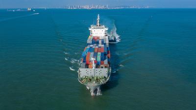 深圳智德物流有限公司