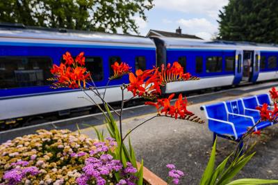 乌海市鑫宇物流有限公司