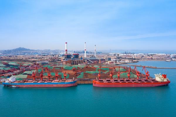 如何判断货代和报关行是否可靠？