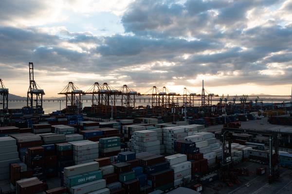 澳洲海运最新消息,澳洲海运最新消息查询