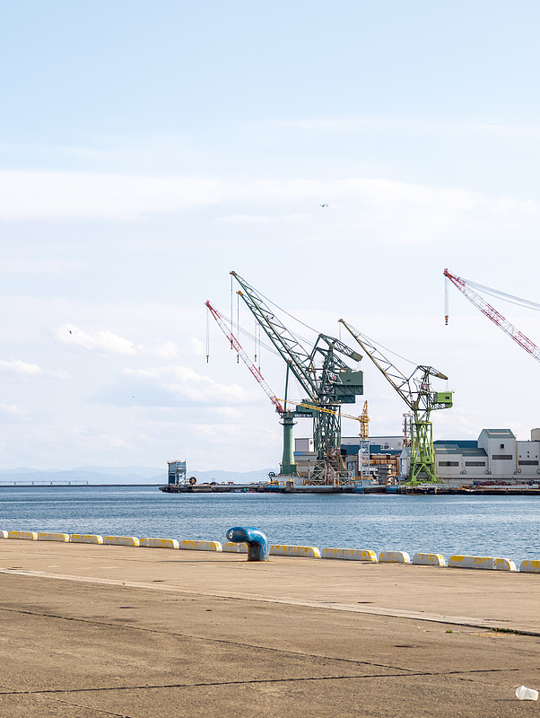 北面冲锋衣借用中国广东佛山跨境物流专线派送至法国