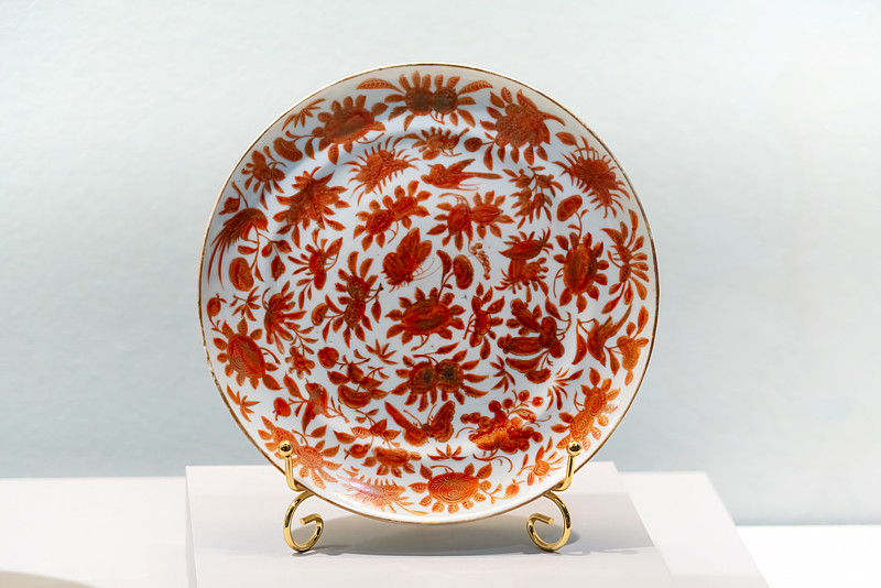 植物产品采纳中国广东广州国际快递专线运输到南非 植物产品采纳中国广东广州国际快递专线运输到南非