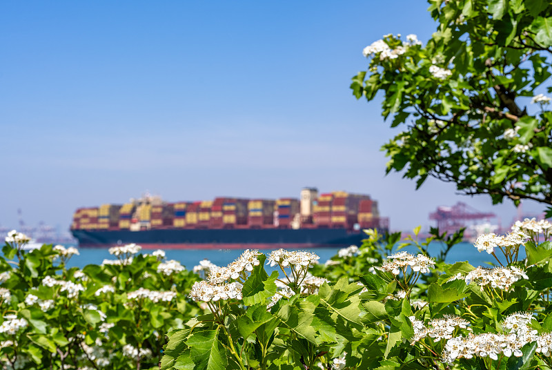 罐头利用中国北京全球物流专线速递到印度孟买 罐头利用中国北京全球物流专线速递到印度孟买