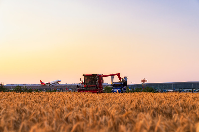 葵花籽（仁）借助中国陕西西安跨国货运专线送达巴基斯坦卡拉奇