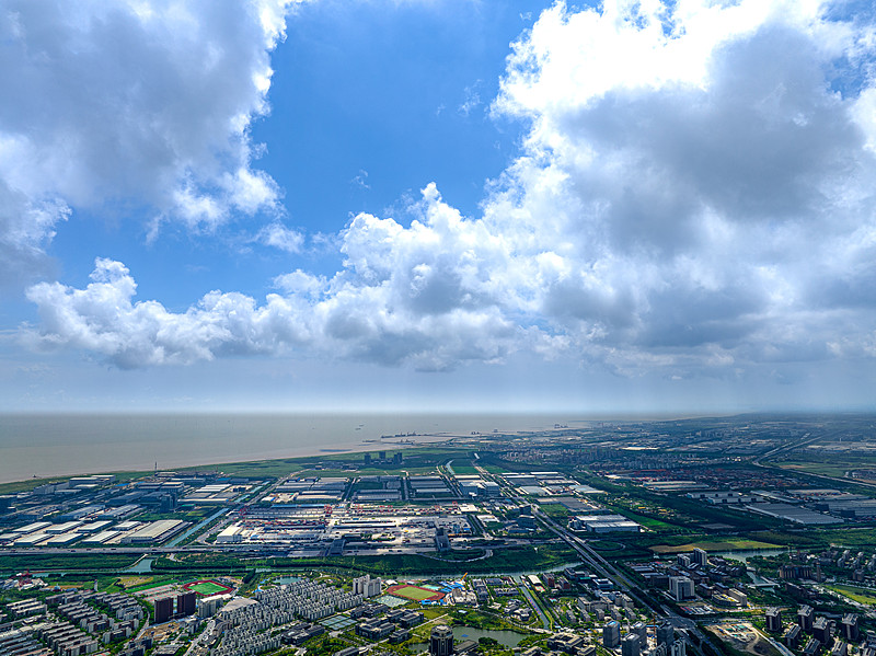 家电运用中国山东青岛外贸物流专线托运至以色列