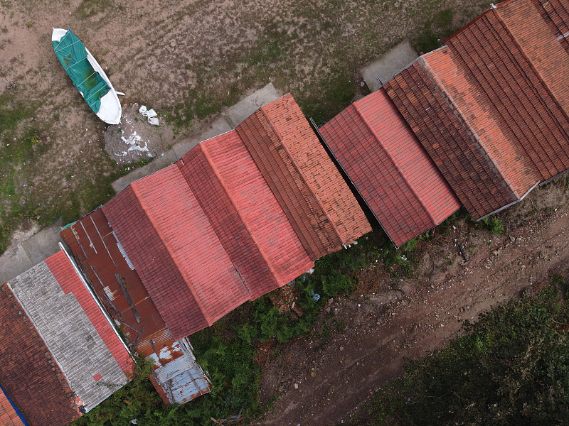 针茅应用中国广东深圳国际快递专线运到荷兰鹿特丹