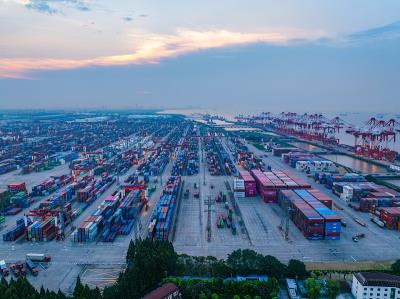 宠物笼借用中国广东深圳全球物流专线运抵沙特阿拉伯吉达