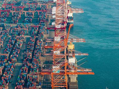 水生无脊椎动物采取中国天津国际货运专线及时送达韩国